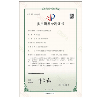 5500jcjc线路检测阀门_专利证书