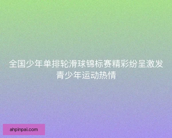 全国少年单排轮滑球锦标赛精彩纷呈激发青少年运动热情